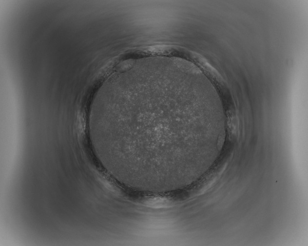 X0000112750593200908271543