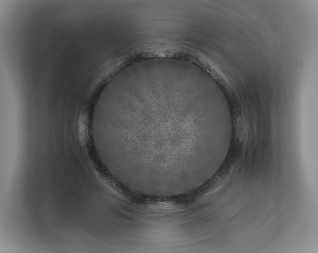 X0000112750594200908271543