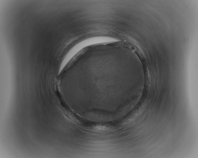 X0000112750596200908271543