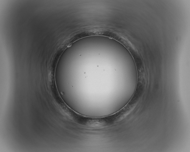 X0000112750597200908271543