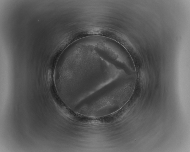 X0000112750598200908271543