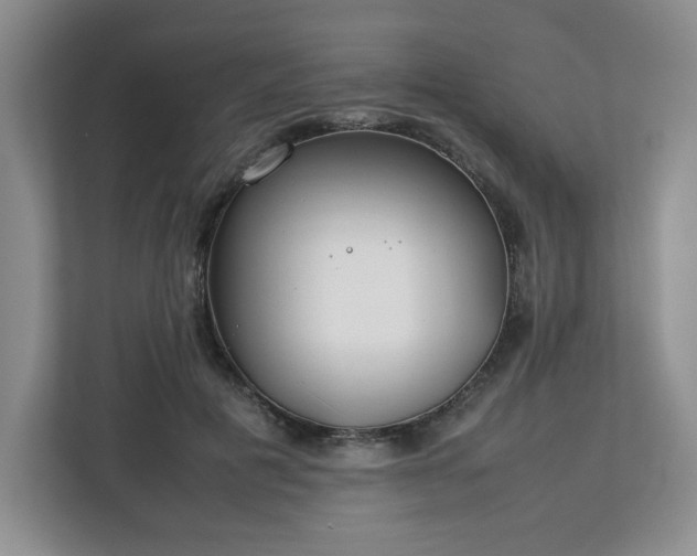 X0000112750601200908271543