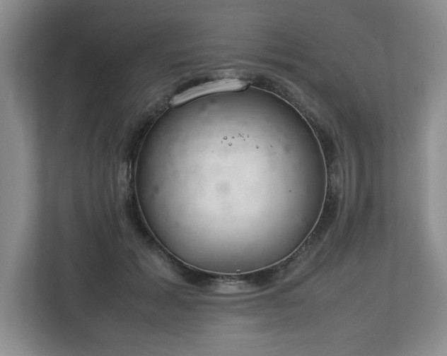 X0000112750605200908271543