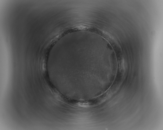 X0000112750606200908271543