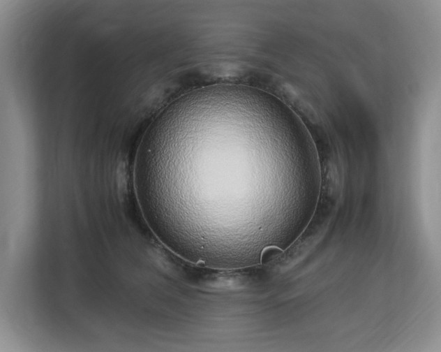 X0000112750612200908271543