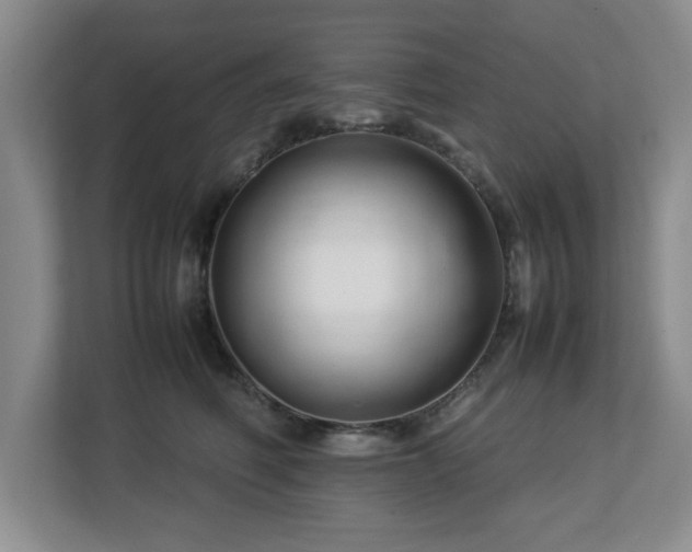 X0000112750614200908271543