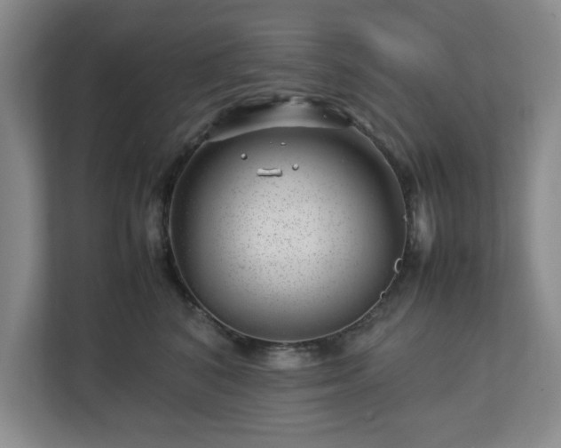 X0000112750616200908271543