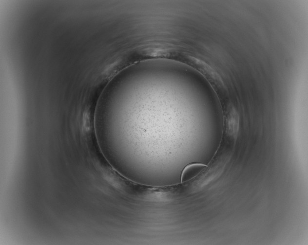 X0000112750620200908271543