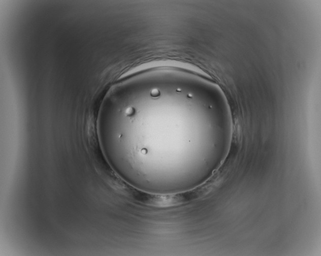 X0000112750623200908271543