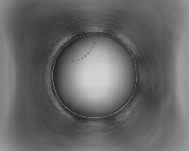 X0000112750625200908271542