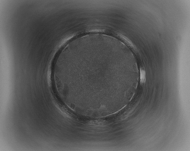 X0000112750627200908271542