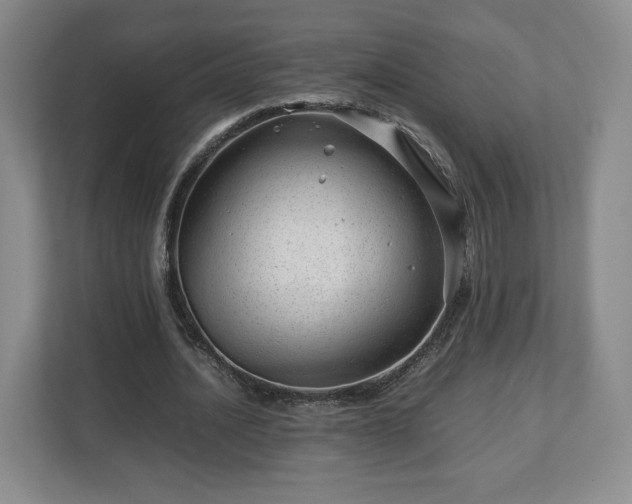 X0000112750628200908271542