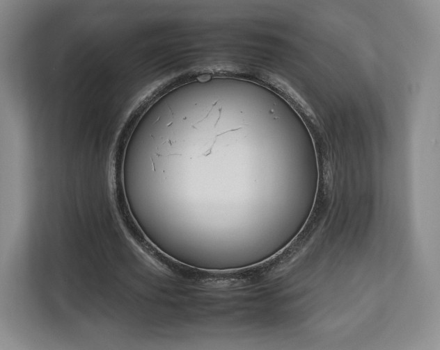 X0000112750629200908271542