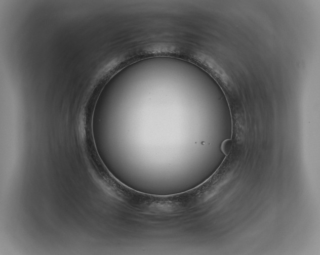 X0000112750631200908271542