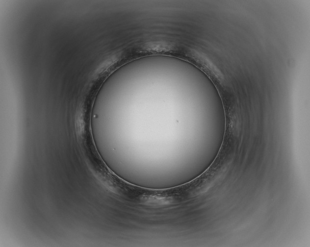 X0000112750635200908271542