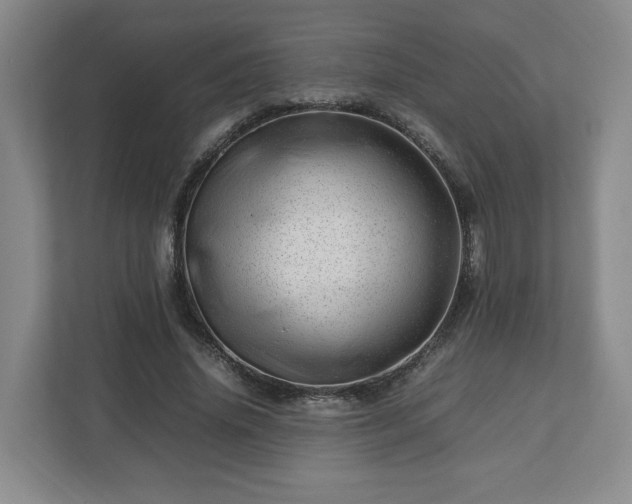 X0000112750636200908271542