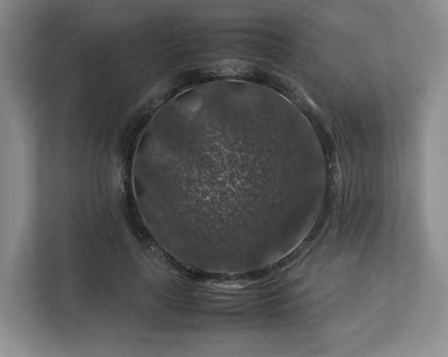 X0000112750643200908271543