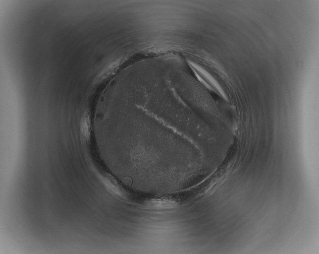 X0000112750644200908271543