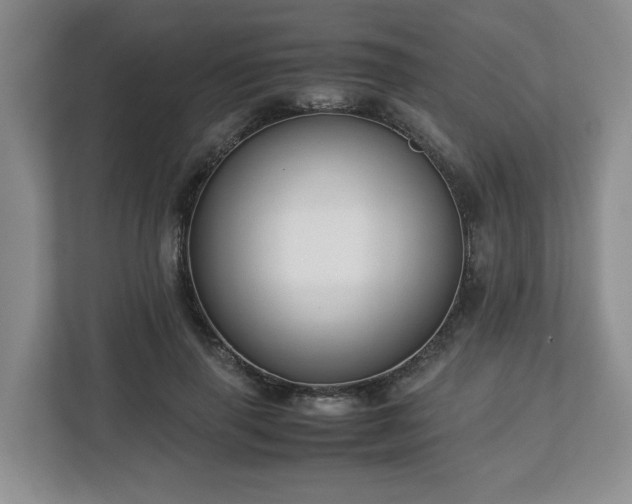 X0000112750645200908271543