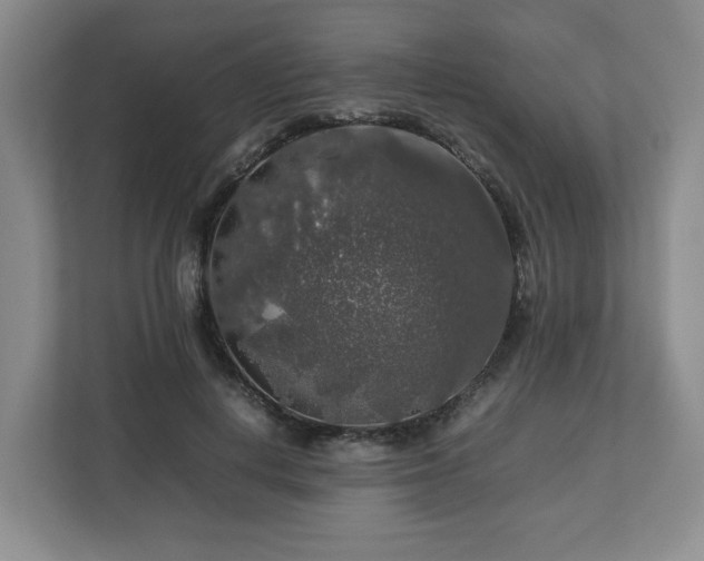 X0000112750648200908271543