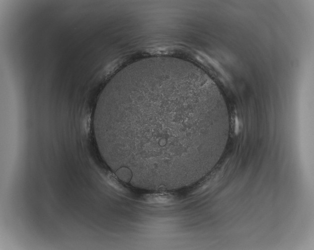 X0000112750652200908271543