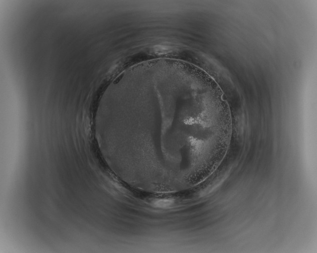 X0000112750653200908271543