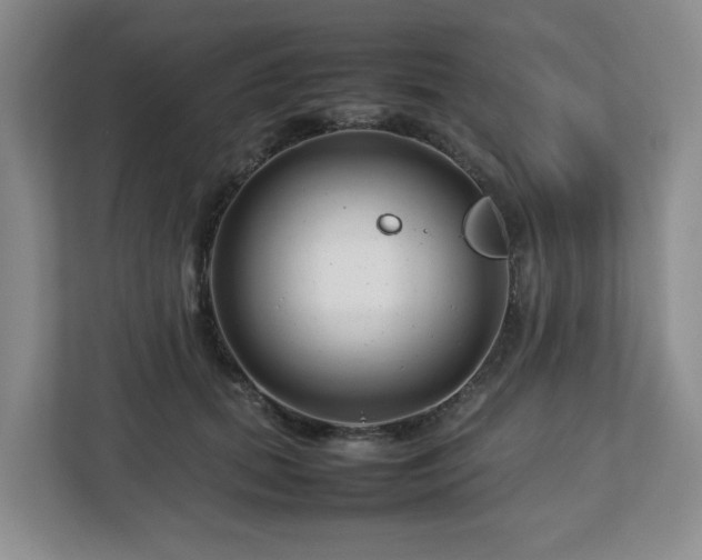 X0000112750655200908271543