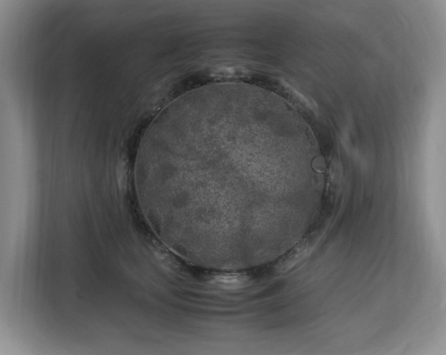 X0000112750659200908271543