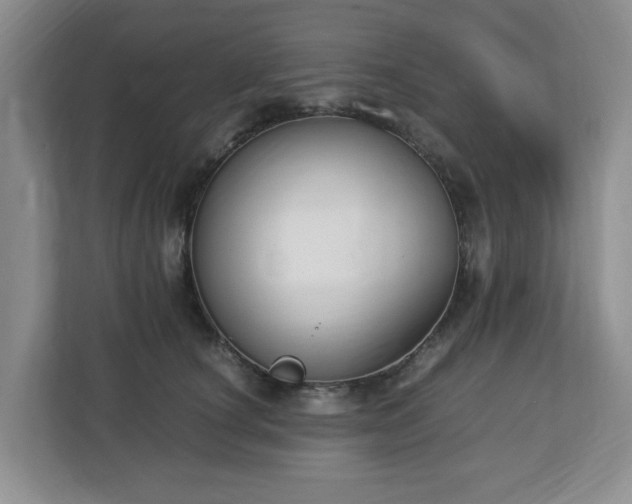 X0000112750660200908271543