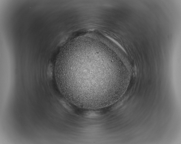 X0000112750664200908271543