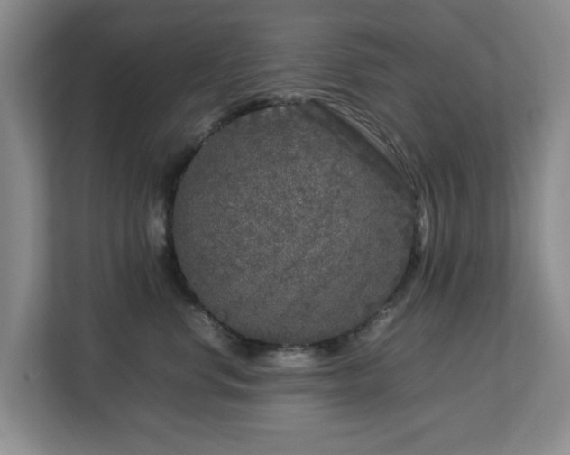 X0000112750668200908271543