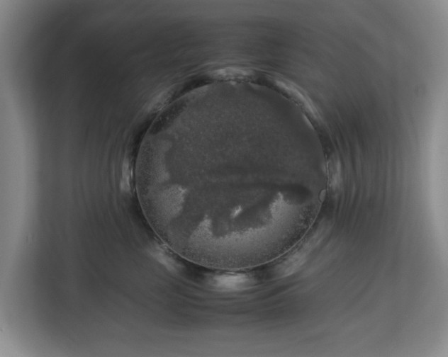 X0000112750669200908271543