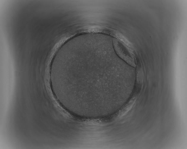 X0000112750673200908271542