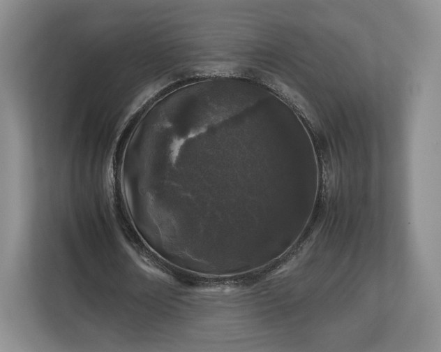 X0000112750674200908271542