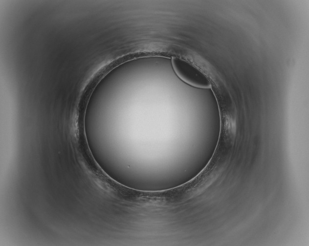 X0000112750676200908271542