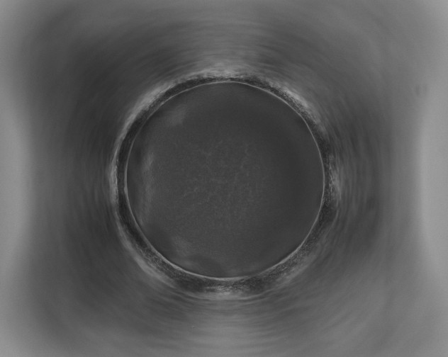 X0000112750678200908271542