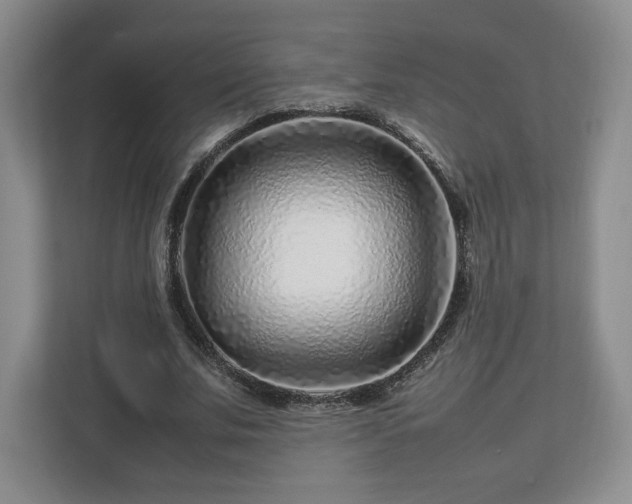 X0000112750679200908271542