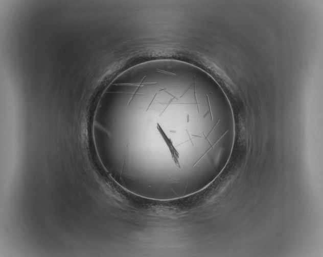 X0000112750681200908271542