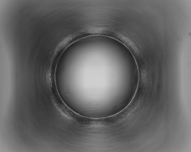 X0000112750682200908271542