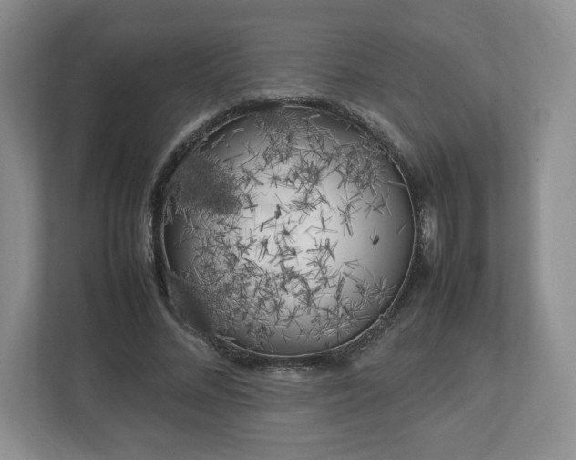 X0000112750684200908271542