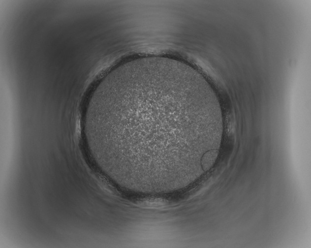 X0000112750685200908271542