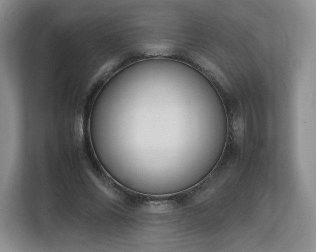 X0000112750686200908271542