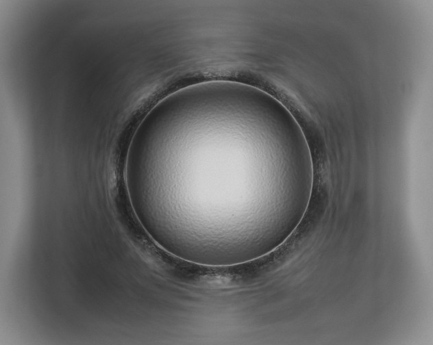 X0000112750687200908271542