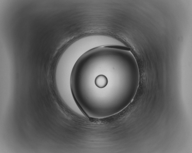 X0000112750688200908271542