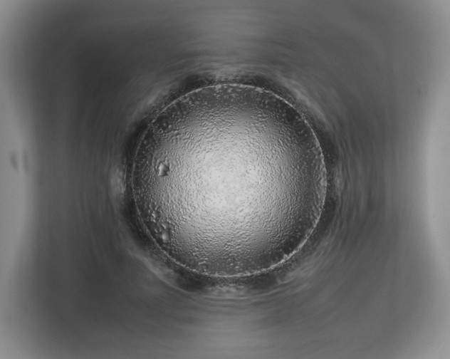 X0000112750691200908271542