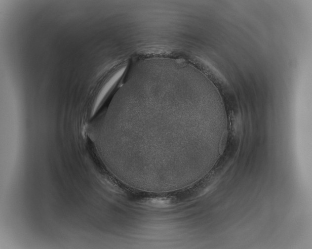 X0000112750692200908271542