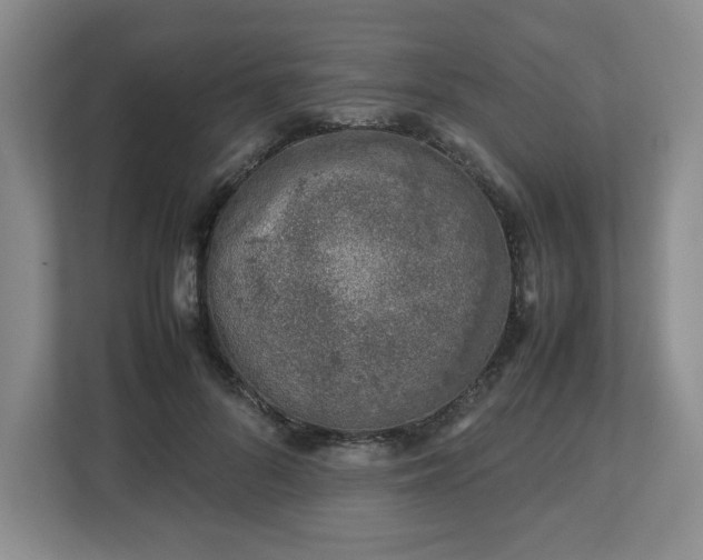 X0000112750696200908271542