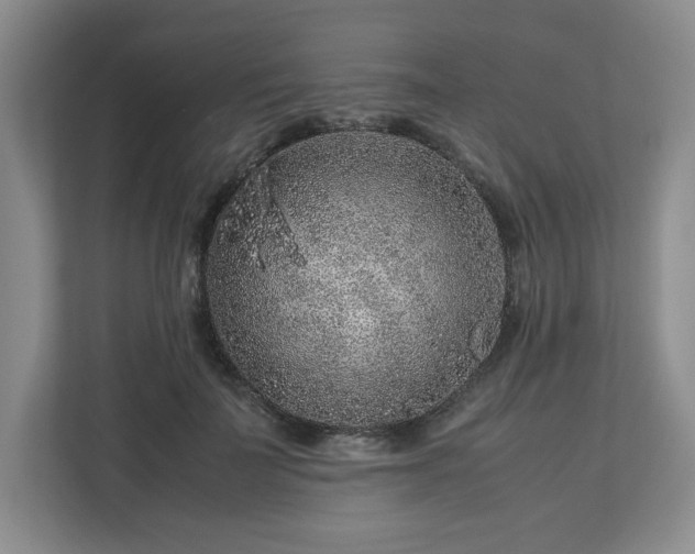 X0000112750699200908271542