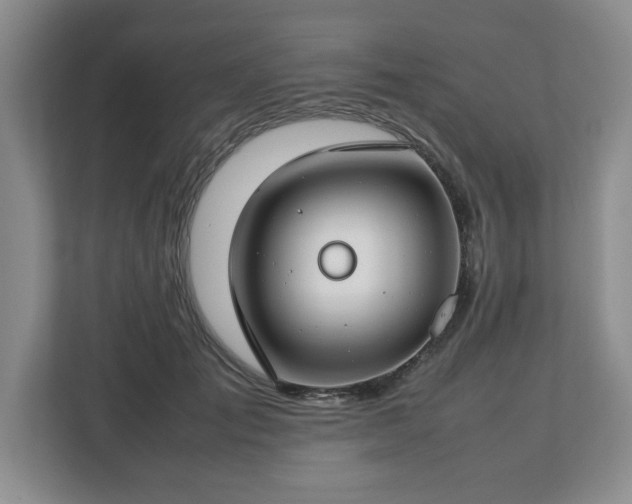 X0000112750701200908271542