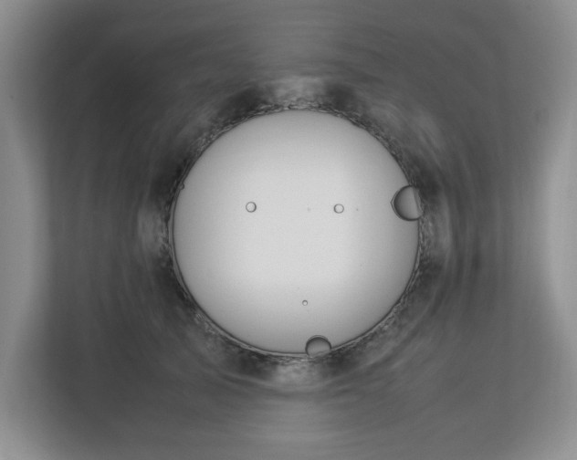 X0000112750705200908271542